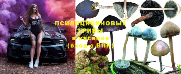 крисы Верхний Тагил
