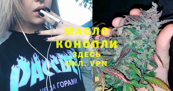 крисы Верхний Тагил