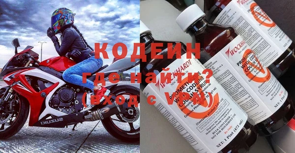 амф Бородино
